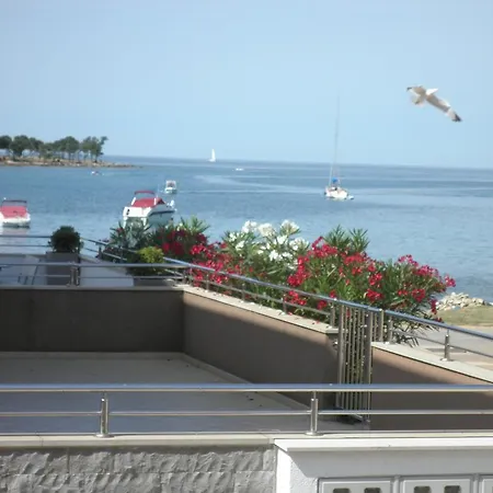 Alba Lovrecica (Istria)